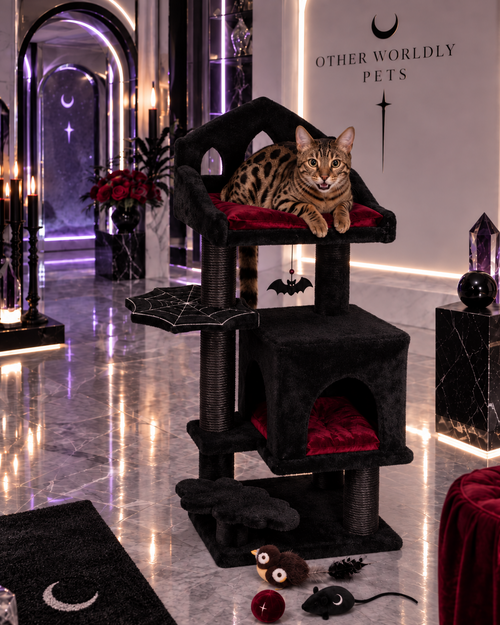 THROONI Gothic Cat Tree - 40inch Goth Cat Tree with Throne Goth Bed Spacious Condo Spooky Hanging Bat and Durable Sisal Scratching Post - Elegant Black Cat Tree for Majestic Feline Rest